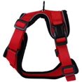thumbnail image 2 of Cat Harness and Leash for Walking Cat and Small Dog Harness Soft Mesh Harness Adjustable Cat Vest Harness with Reflective Strap Comfort Fit for Pet Kitten Puppy Rabbit, 2 of 8