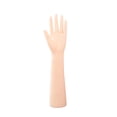 thumbnail image 1 of Expositor de guantes de mano de maniquí femenino con modelo de mano extendida Mano izquierda, 1 of 9