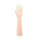 thumbnail image 1 of Mano de maniquí femenina, accesorio fotográfico, modelo de mano extendida Mano izquierda, 1 of 9