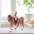 thumbnail image 2 of Vogacara Caballo marrón de simulación en miniatura con estatuilla de amazona y de Animal de silla de montar juguetes de modelos de colección Juguetes Vogacara FN006285-00, 2 of 6