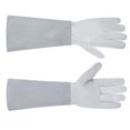 thumbnail image 3 of M/L/TG Gants de Protection à Manches Longues pour Élagage de Fleurs en Cuir Blanc m, 3 of 8