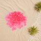 thumbnail image 1 of Houderco 200Ud Glow in The Dark Para Decorar Acuarios Y Exteriores, 1 of 8