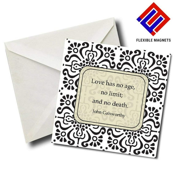 John Galsworthy Inspirational Quote Magnet for refrigerator. Great Gift! By Flexible Magnets