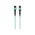 thumbnail image 3 of Belkin 3M MTP to MTP MPO Fiber Optic Cable 40GB Aqua 50/125 OM3 Plenum - patch cable - 10 ft, 3 of 4