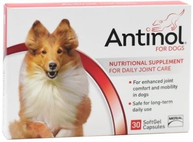 Buy Antinol Joint Care for Dogs 30 Tablets at Ubuy Ghana