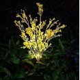 thumbnail image 4 of Flor artificial LED solar, lámpara decorativa impermeable para jardín, patio, lámpara de pie solar para césped (3 piezas) (flores de canola), 4 of 5