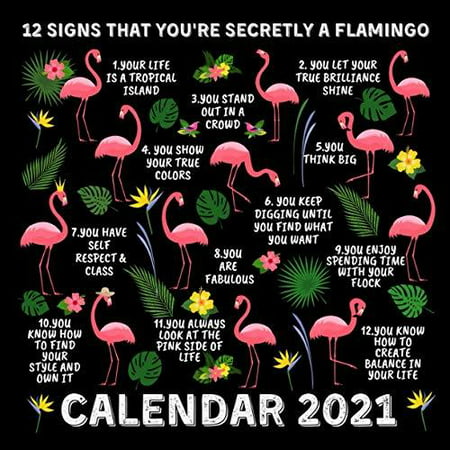 12 Signs That You're Secretly a Flamingo Calendar 2021: January 2021 -  December 2021 Monthly Planner Book Calendar With Funny Flamingo  Inspirational Quotes | Walmart Canada