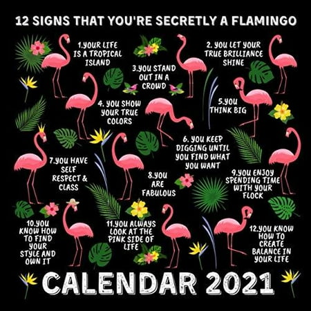 12 Signs That You're Secretly a Flamingo Calendar 2021: January 2021 - December 2021 Monthly Planner Book Calendar With Funny Flamingo Inspirational Quotes | Walmart Canada 12 Signs That You're Secretly a Flamingo Calendar 2021: January 2021 - December 2021 Monthly Planner Book Calendar With Funny Flamingo Inspirational Quotes | Walmart Canada