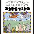 thumbnail image 2 of CafePress - Super Shelties Infant Bodysuit Body Suit - Cute Infant Bodysuit Baby Romper - Size Newborn - 24 Months, 2 of 3