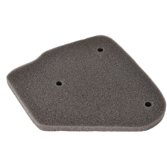 WOOSTAR Motorcycle Air Filter Element Replacement for 2 Stroke 50cc 70cc 90cc JOG Minarelli Polaris Jonway Qlink Eton