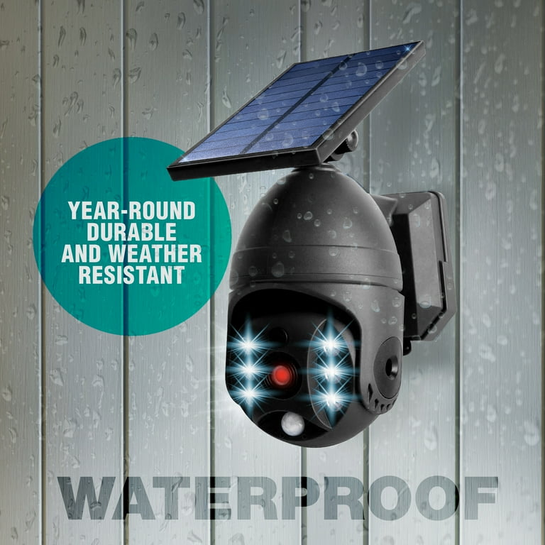 Bionic 2024 spotlight walmart