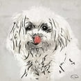 thumbnail image 3 of OnRei 15x15 Black Modern Framed Museum Art Print Titled - Wet Nose, 3 of 5