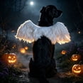 thumbnail image 5 of Halloween Pet Angel Wings for Dogs and Cats, Furry Plush Cosplay Accessory with Adjustable Straps, White/Black Single Piece (46cm x 15cm), 5 of 8