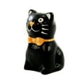 thumbnail image 2 of Tabletop Halloween Salt & Pepper Set Ceramic Pumpkin Jack-O-Lantern 7304878 Cat, 2 of 3