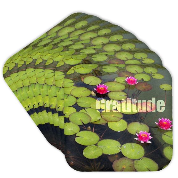 3drose, Lotus Flowers and Lily Pads- Gratitude- Inspirational, Set of 8 Coasters - Soft