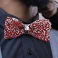 thumbnail image 3 of OULII Rhinestone Pre Tied Bow Tie for Men's Elegant Accessory for Weddings and Formal Events Size 4.5"x2.5", 3 of 8