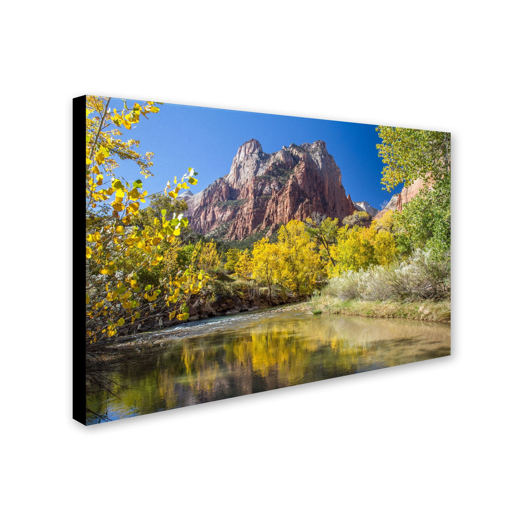 Trademark Fine Art "Zion Autumn" Canvas Art by Pierre Leclerc
