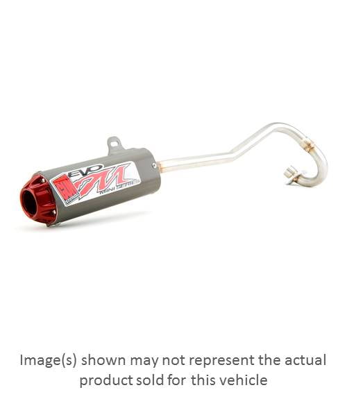 Buy BIG GUN EVO Mini Series Full Exhaust Muffler System with Arrestor and Springs Kit for YAMAHA