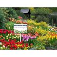 thumbnail image 5 of Eveokoki No Mow May Pollinator Friendly Yard Sign With Metal Stake For Garden Farm Decor No Mow Lawn Sign Stand Tin Sign Wildflowers Outdoor Decorations 12x8 Inch, 5 of 6