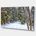 thumbnail image 2 of Route Enneigée dans la Forêt - Toile de Paysage Art Print, 2 of 3