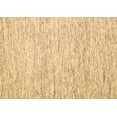 thumbnail image 1 of Ahgly Company Indoor Rectangle Solid Brown Modern Area Rugs, 2' x 5', 1 of 1
