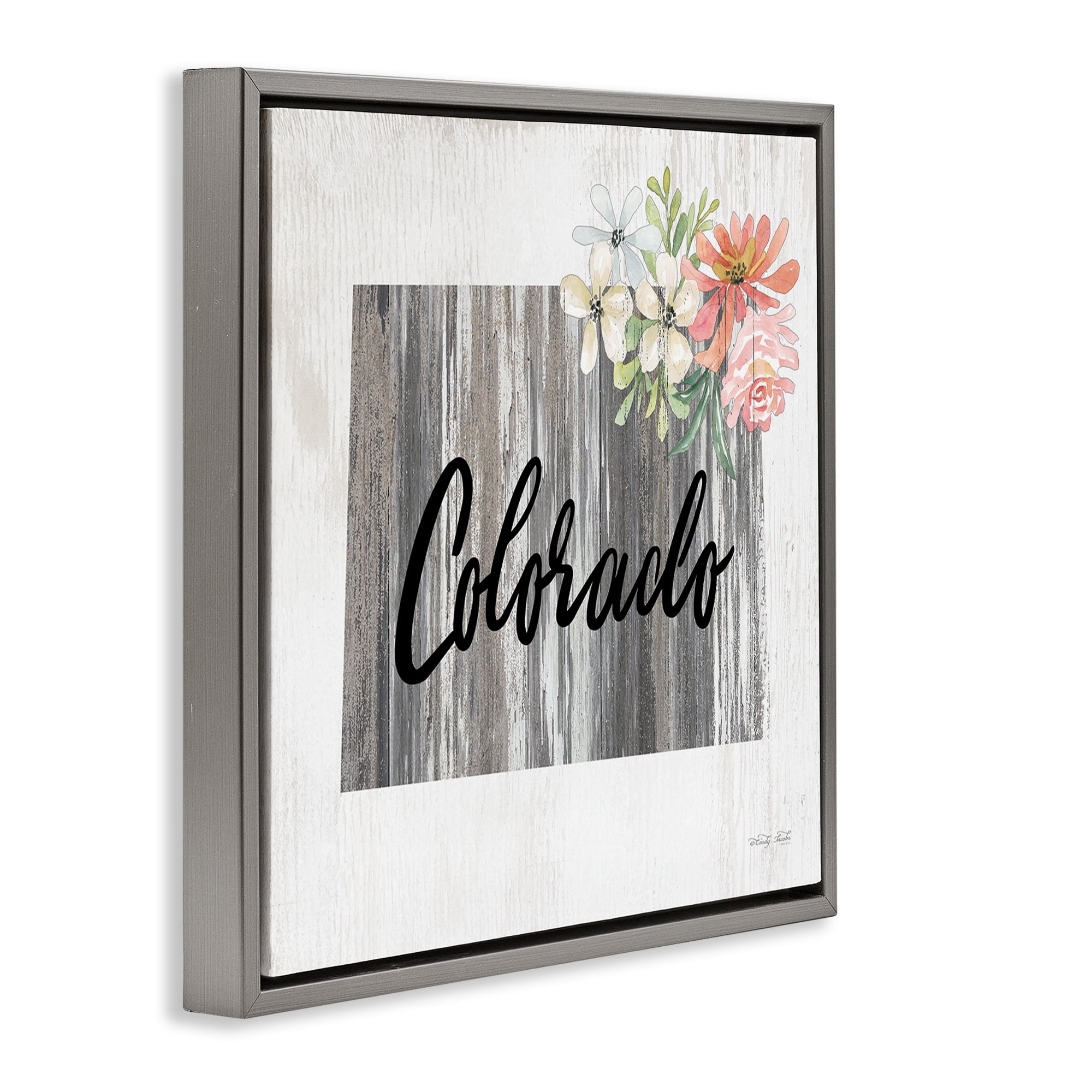 Stupell Industries Shabby Chic Colorado Botanical & Floral Painting Gray Floater Framed Canvas Art Print Wall Art, 18 x 18