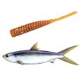 thumbnail image 2 of Soidarity Lote de 15 unidades de señuelos blandos de gusano de silicona para pesca, señuelos artificiales de pesca de 38mm, cebos artificiales Pescar 2 # Soidarity DJ0680-02, 2 of 3