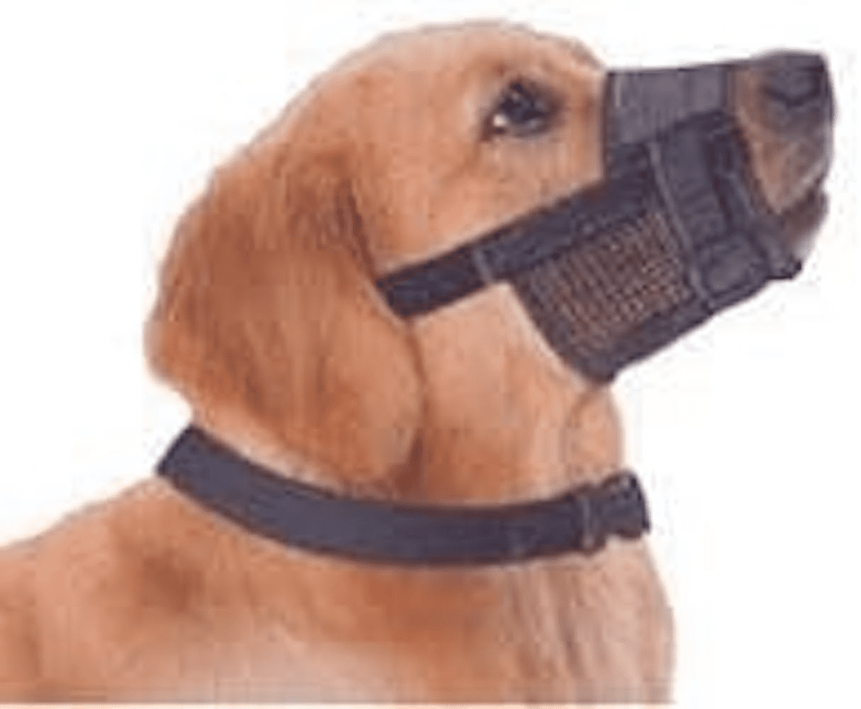 Great&Small Soft Mesh Dog Muzzle