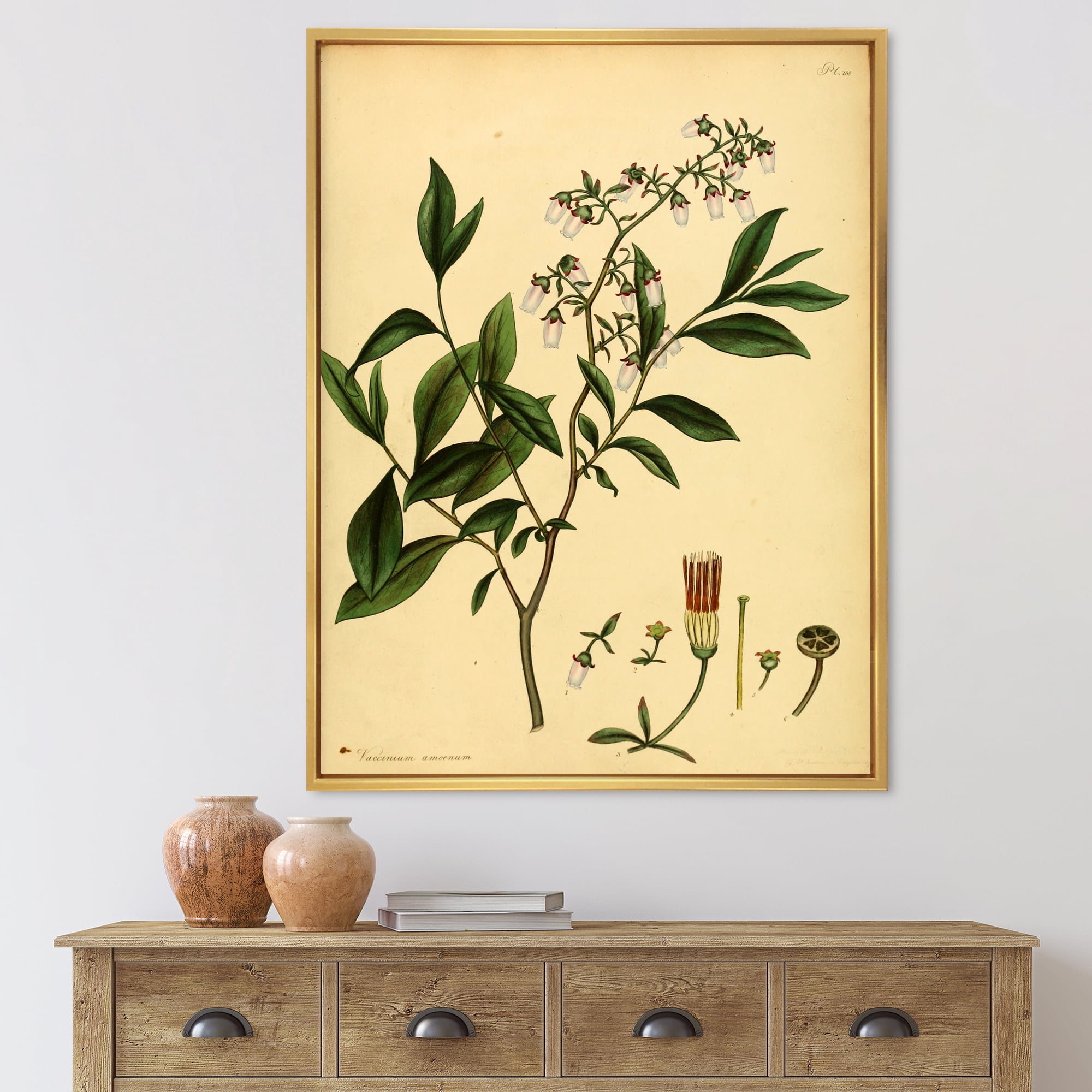 Designart 'Ancient Plant Life V' Traditional Framed Canvas Wall Art Print