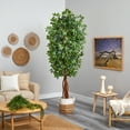 thumbnail image 3 of Nearly Natural 7.5ft. Artificial Deluxe Ficus Tree with Handmade Jute & Cotton Basket, Green, 3 of 4