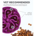 thumbnail image 3 of Dog Bowl Outward Hound Fun Feeder Slo Bowl, alimentador lento, 3 of 16