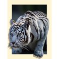 thumbnail image 1 of Diamond Painting (DE6275) tigre 5D DIY Kits Resina Full Round Home Wall Art 50x70cm Blanco FLhrweasw Nuevo, 1 of 1