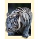 thumbnail image 1 of Cuadros Decorativos Tigre blanco 5D DIY Diamond Painting Kits Resina Full Round Wall Ar DQrwqpou Nuevos Originales, 1 of 8