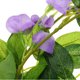 thumbnail image 5 of unbranded Flores Artificiales De Wisteria Colgantes Para Ambientar Cafés Y Espacios Interiores, 5 of 5