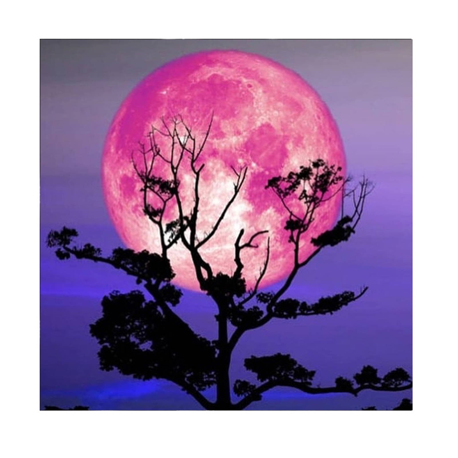 Kayannuo Bedroom Decor Christmas Clearance 5D Diamond Painting , Bright  Moon Full Drill Embroidery Picture Supplies Arts Living Room Decor 
