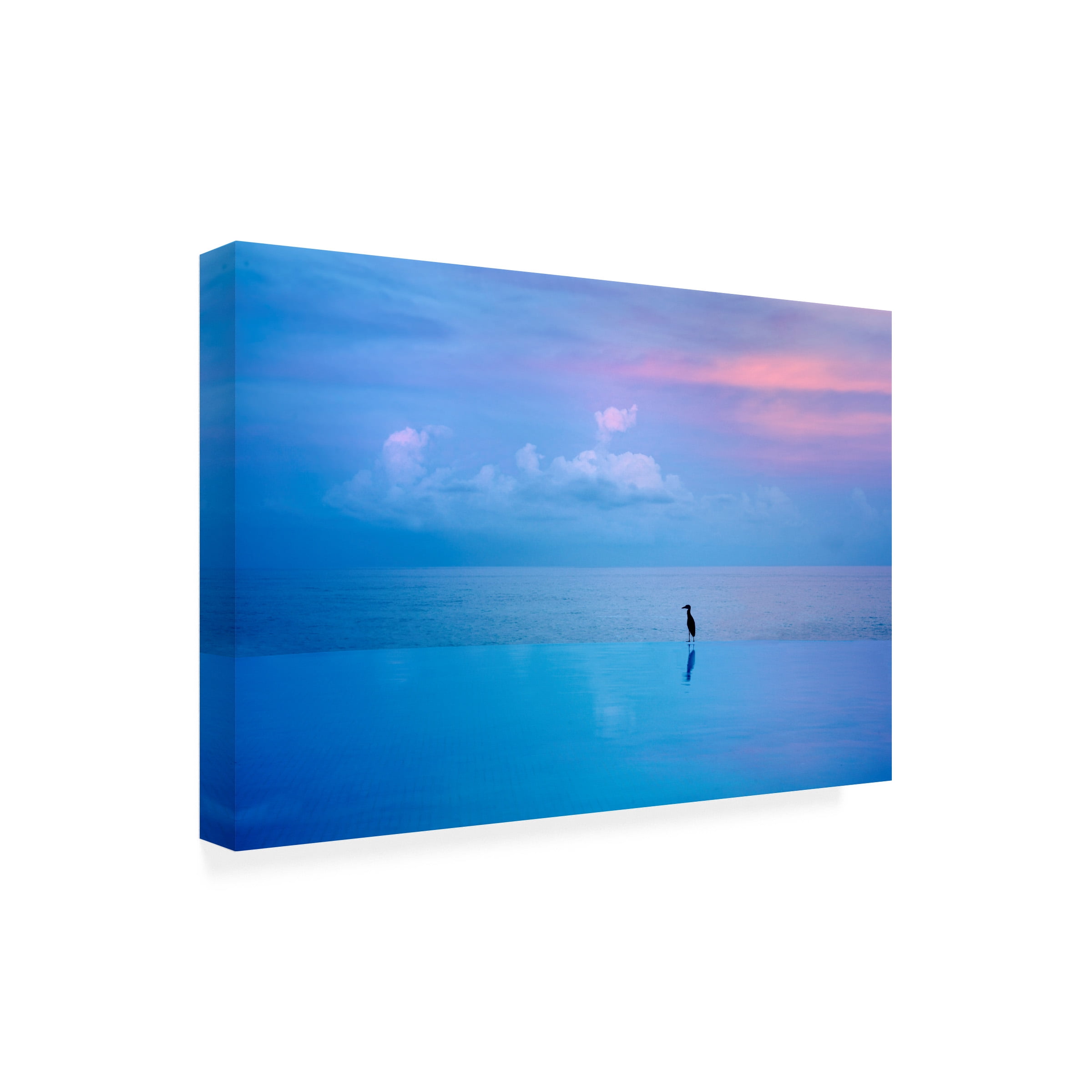 Dennis Frates 'Reflections 11' Canvas Art