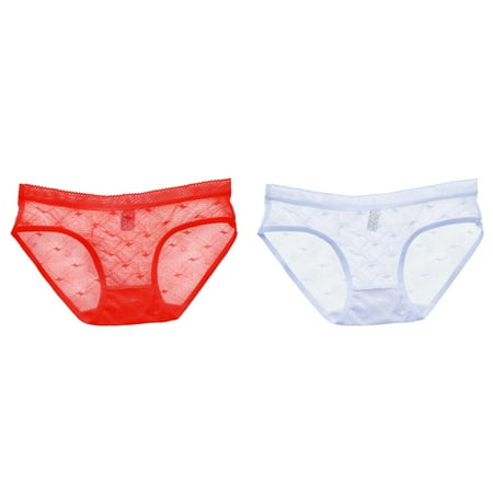 2-Pack Womens Sheer Lace Panties See Through Mesh Crotch Seamless Briefs Seamless Panties for Women High Waist Lace Panties Lift Underwear Women Women s Briefs plus Size Brief Underwear for