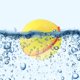 thumbnail image 2 of Bola de agua de silicona, globo de agua magnético, juguete para jugar en la piscina de la playa (amarillo) Tmvgtek Libre de BPA, 2 of 3