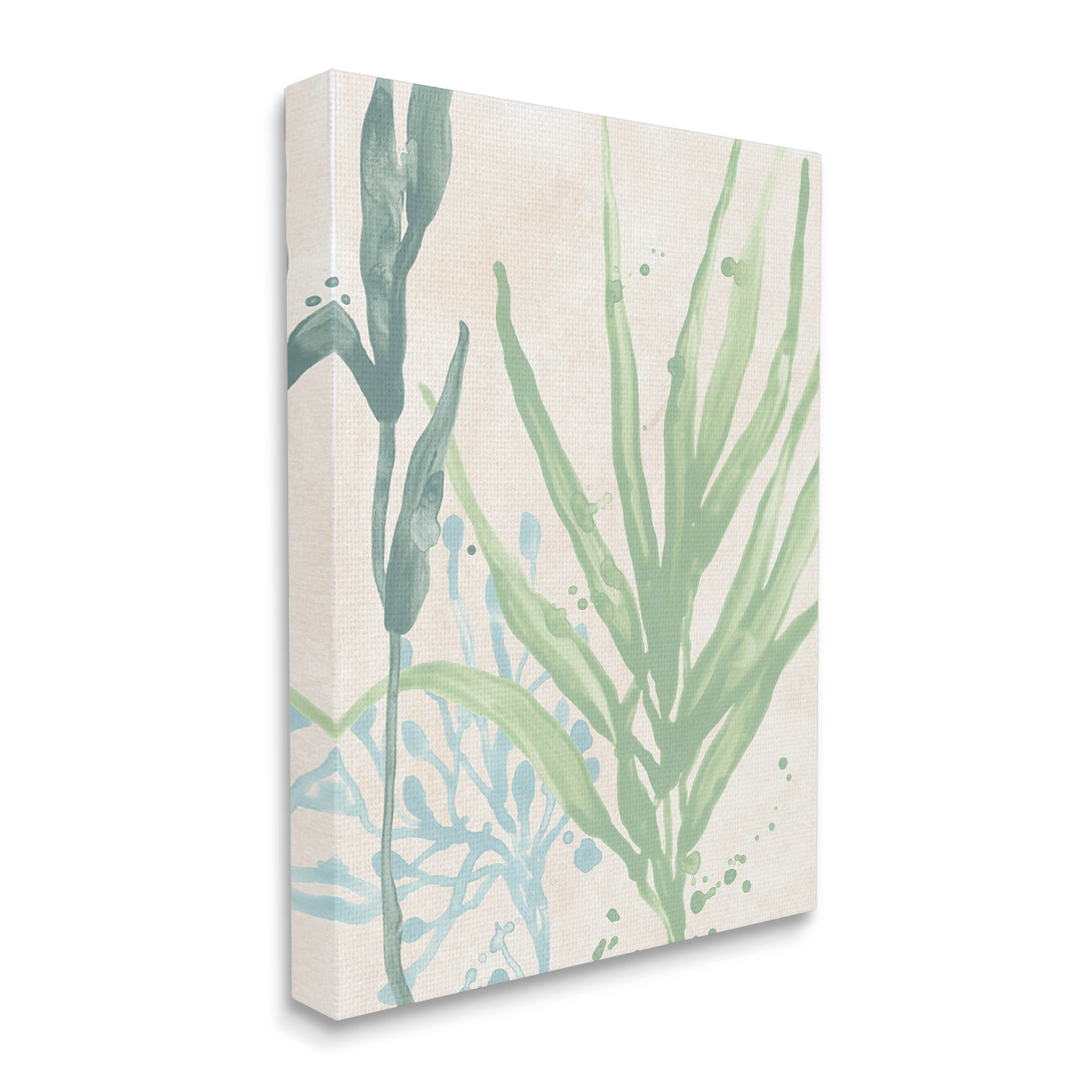 Stupell Industries Aquatic Seaweed Botanicals Graphic Art Gallery Wrapped Canvas Print Wall Art, Design by June Erica Vess