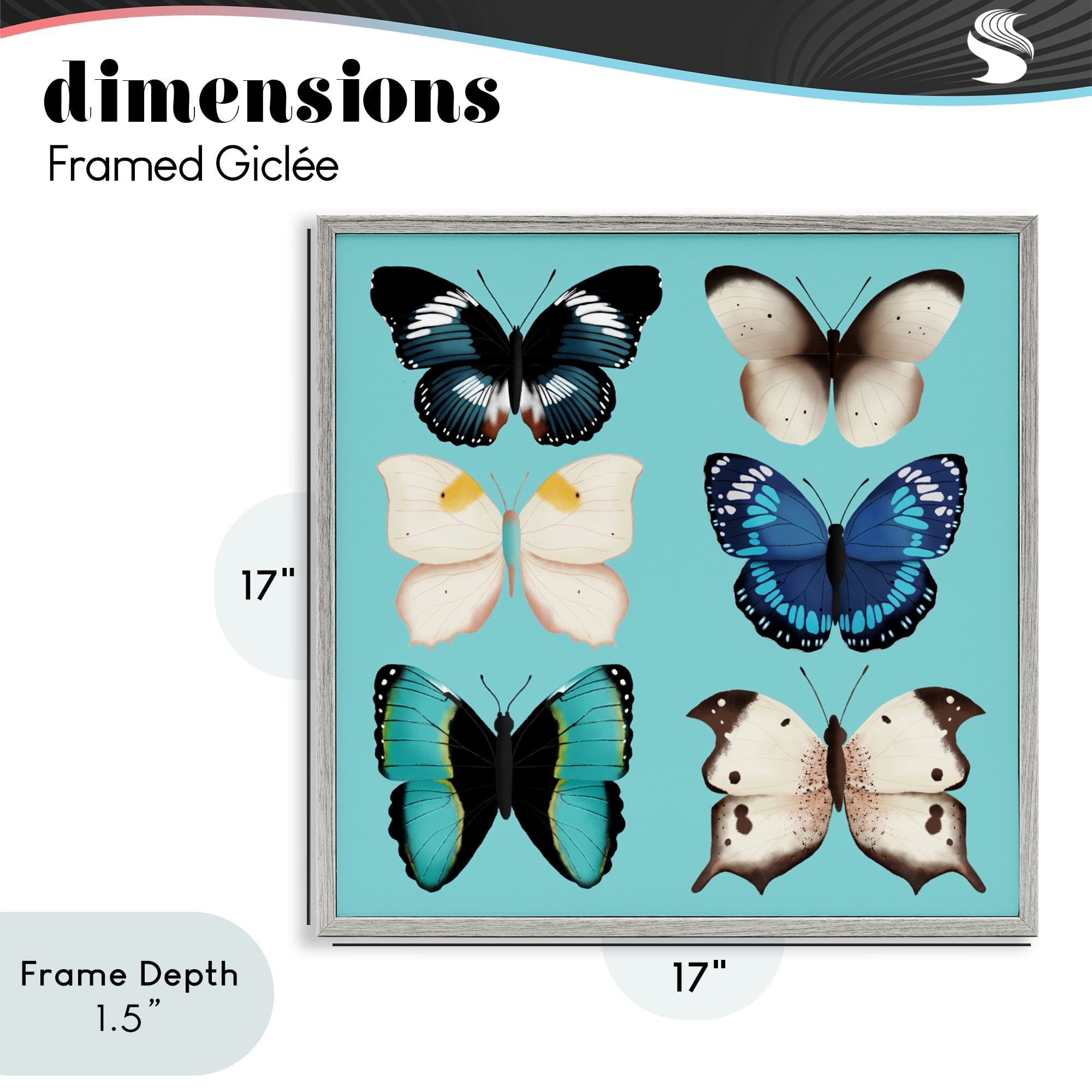 Stupell Industries Six Diverse Butterflies on Turquoise Gray Framed Giclee Art, design by Metka Hiti