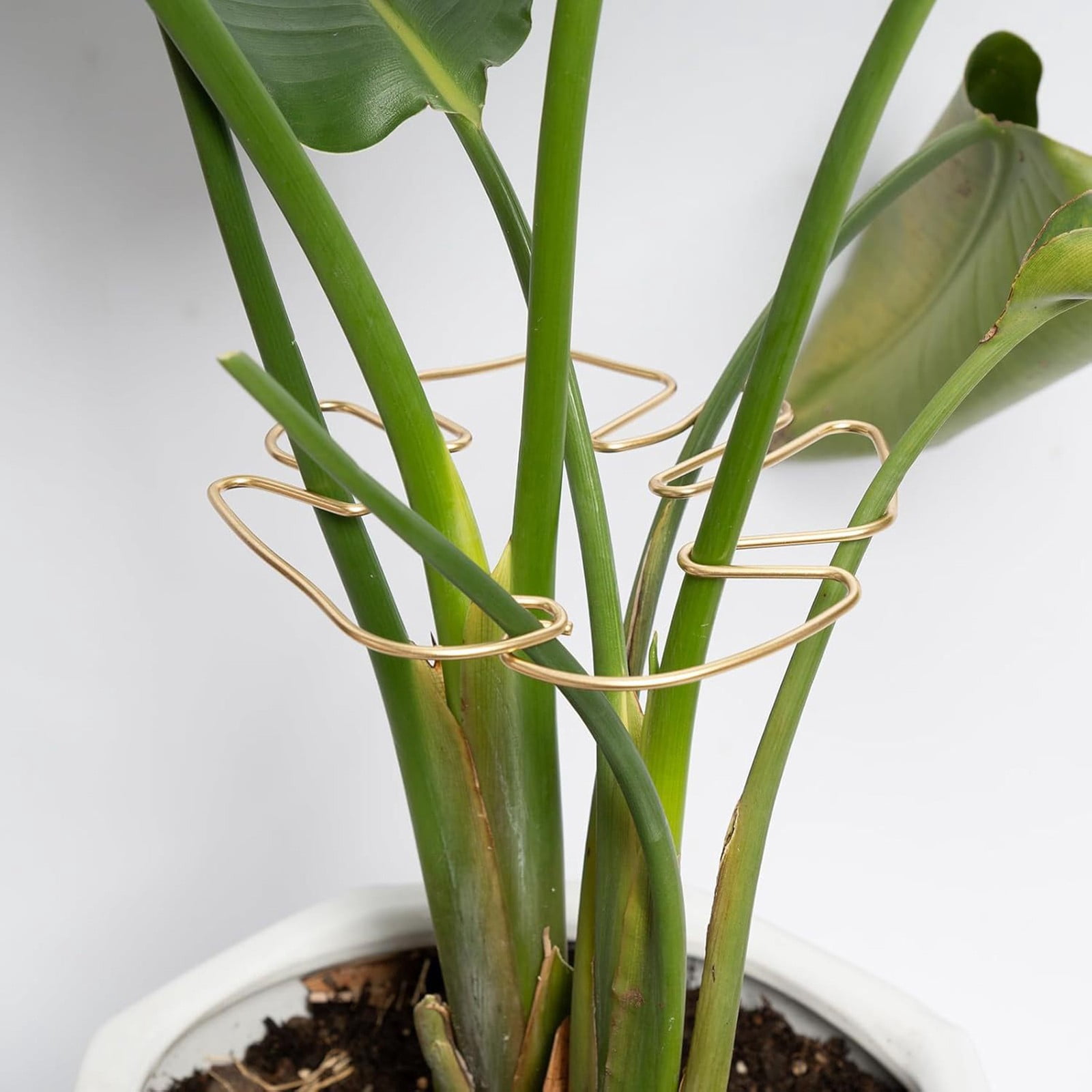 1Pcs Monstera Plant Support, Plant Stem Supports for Indoor Plants, Stable Plant Support Stakes for Indoor Plant, Uniquely Leaf Shaped Plant Support for Thriving Growth Indoor Climbing Plant