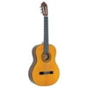 Washburn C40 Classical Series Acoustic Guitar