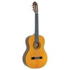 Washburn C40 Cadiz Classical Guitar Satin Natural