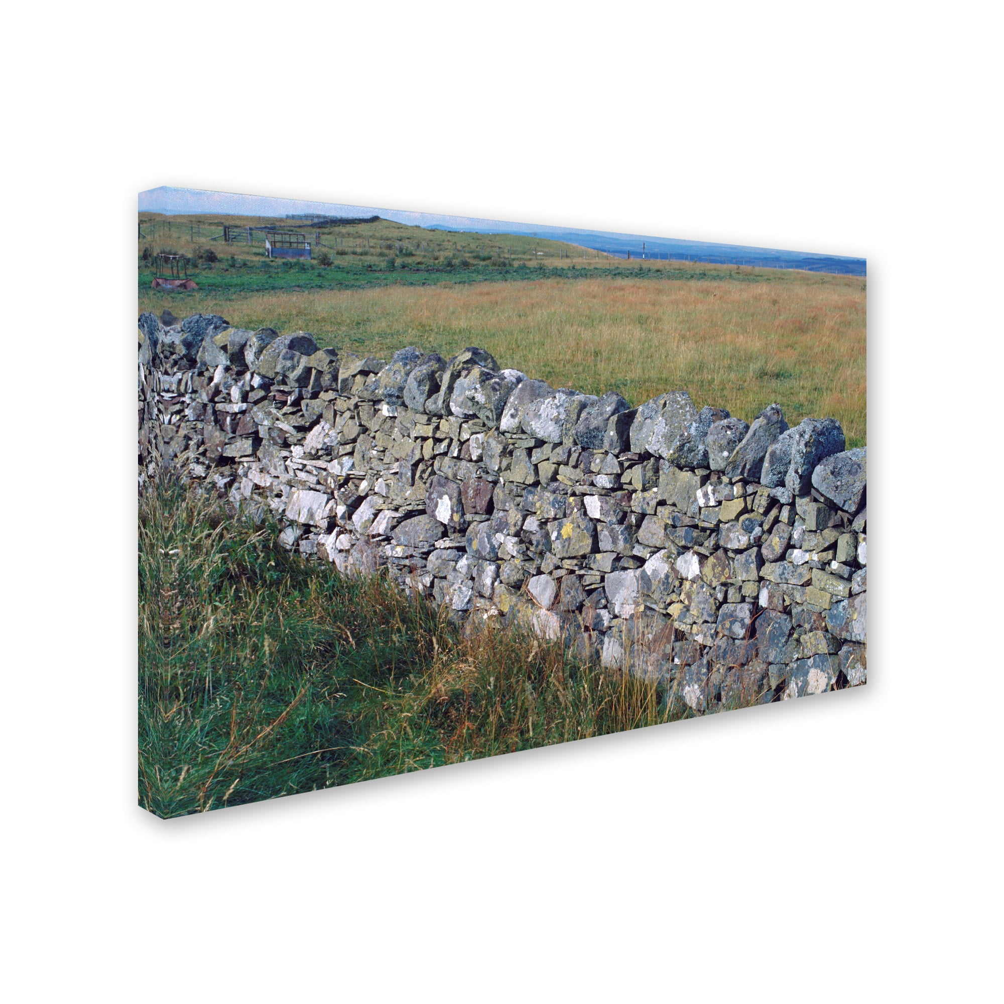 Trademark Fine Art 'Scotland 12a' Canvas Art by Robert K Jones