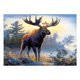 thumbnail image 2 of Animal flor 5D diamante pintura artesanía bordado Cruz artesanía kit de puntada regalos Sunnimix Pintura al óleo del diamante 5D, 2 of 8