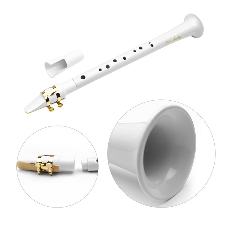 Pocket Saxophone Kit Mini Sax Portable Woodwind Instrument with Lid,  Mouthpiece, Carrying Bag, Fingering Charts
