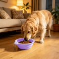 thumbnail image 5 of Collapsible Dog Bowl Silicone, 2 Pack Pet Travel Bowls | Foldable Water Feeder Dish for Small to Large Dogs Cat Walking Hiking Camping, Portable Dog Bowl, 5 of 6