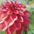 thumbnail image 2 of Salness, Annie 26x26 Gold Ornate Wood Framed with Double Matting Museum Art Print Titled - Dahlia, 2 of 4