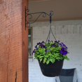 thumbnail image 4 of Juego de 4 ganchos de pared de hierro para plantas de exterior: para jardineras, comederos para pájaros, linternas y campanillas de viento, color negro, 4 of 4