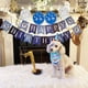 thumbnail image 3 of Traje de fiesta de cumpleaños para perro Traje de fiesta de cumpleaños para perro, 3 of 5